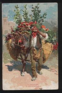 3102237 ITALY Verdummaro fruit seller Vintage lithograph PC