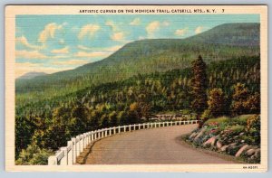 Artistic Curves On The Mohican Trail, Catskill Mts. NY, 1934 Curt Teich Postcard