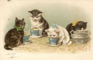 PC CATS, FOUR CATS SIPPING TEA, Vintage LITHO Postcard (b47184)