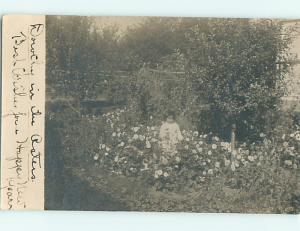 1908 rppc GIRL NAMED DOROTHY IN ASTER FLOWERS postmarked Springfield MN v1642