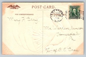 1907  Thanksgiving Greetings  Turkey    Postcard