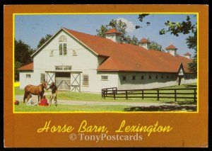 Horse Barn- Greetings from Lexington
