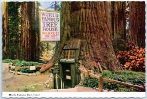 Postcard - World Famous Tree House, Tree House Park - Piercy, California