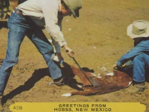 Greetings Hobbs NM Branding Cattle Horses Cowboys Ranchers Corral postcard H186 