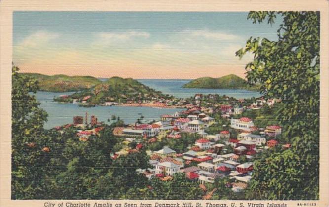 St Thomas City Of Charlotte Amalie Seen From Denmark Hill Curteich