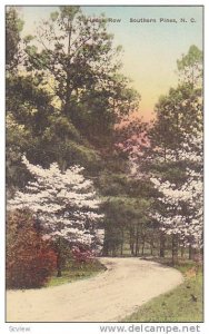 Hedge Row, Southern Pines, North Carolina, 1900-1910s