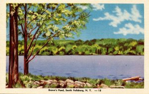 NY - South Fallsburg, Brown's Pond
