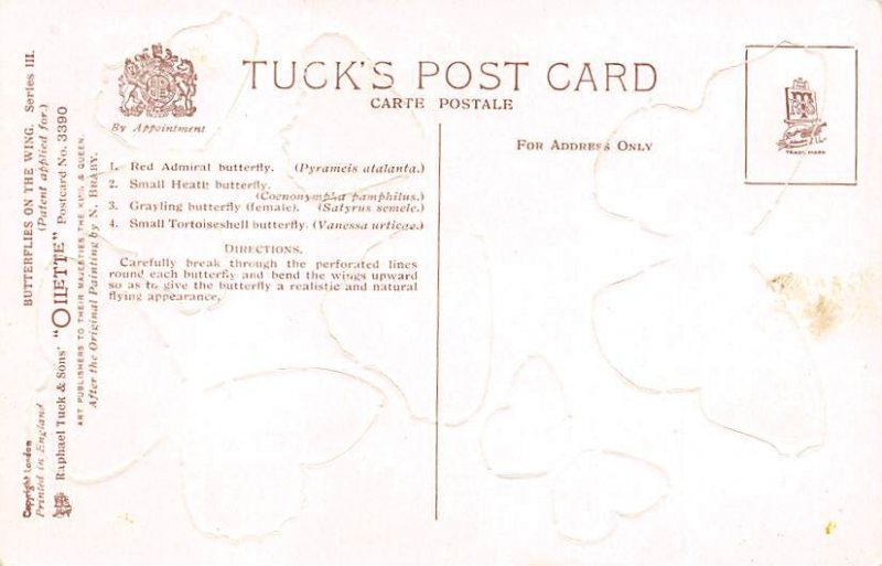 Butterflies Butterflies