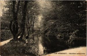 CPA Le VESINET - RIVIERE sous bois (353445)