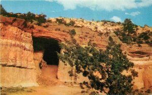 New Mexico Land of Enchantment Kit Carson's Cave Petley Postcard 21-10013