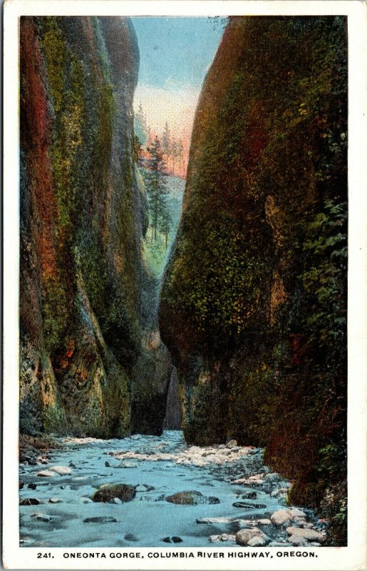 Vtg 1920s Oneonta Gorge Columbia River Highway Oregon OR Postcard