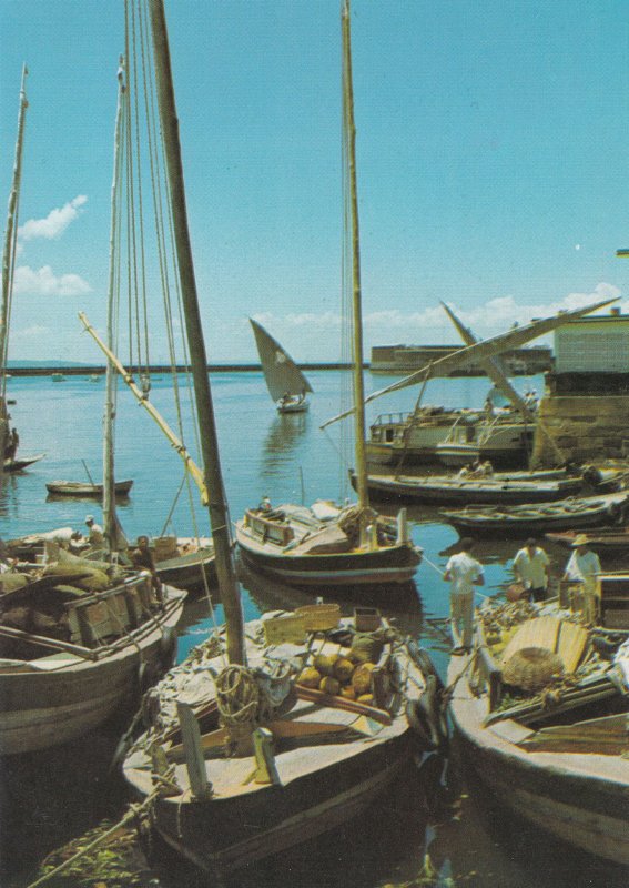 Brazil Salvador Harbour Boats Brazil Postcard