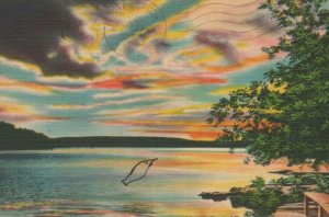 Greetings From Lynchburg Missouri Sunset Lake Posted Linen Vintage Postcard