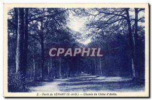 Postcard Old Forest of Senart S and O Chemin du Chene d'Antin