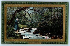 Killarney Ireland Postcard Torc Rivulet Water Streams Scene c1910 Tuck Art