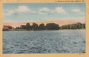 Postcard Scene Haven Lake Milford DE