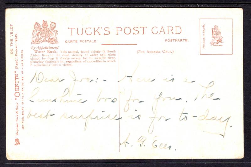 Water Buck,On the Veld,Tuck's