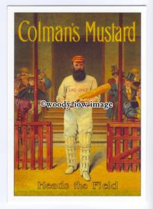 ad0527 - Colmans Mustard - Heads The Game - Cricket -  Modern Advert Postcard