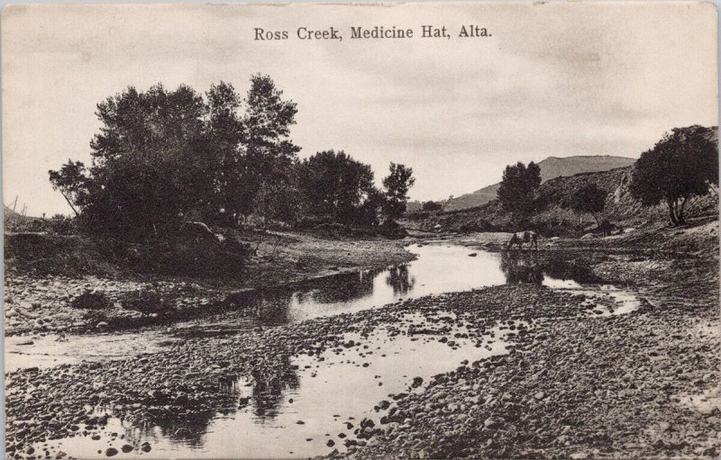 Medicine Hat Alberta Ross Creek AB Alta c1911 Postcard H26