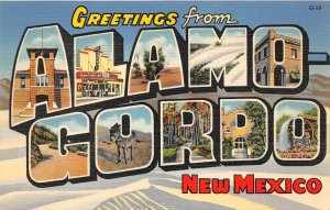 H18/ Alamogordo New Mexico Postcard Teich Large Letter Greetings from