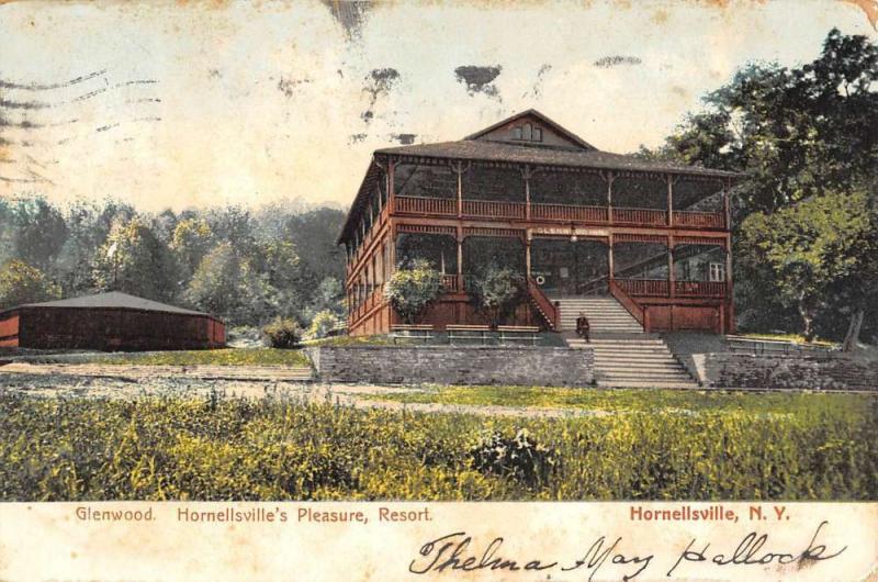 Hornellsville New York Pleasure Resort Street View Antique Postcard K83540