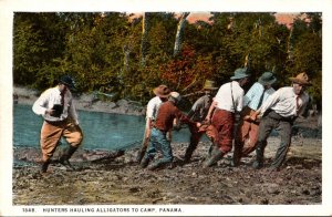 Panama Hunters Hauling Alligators To Camp