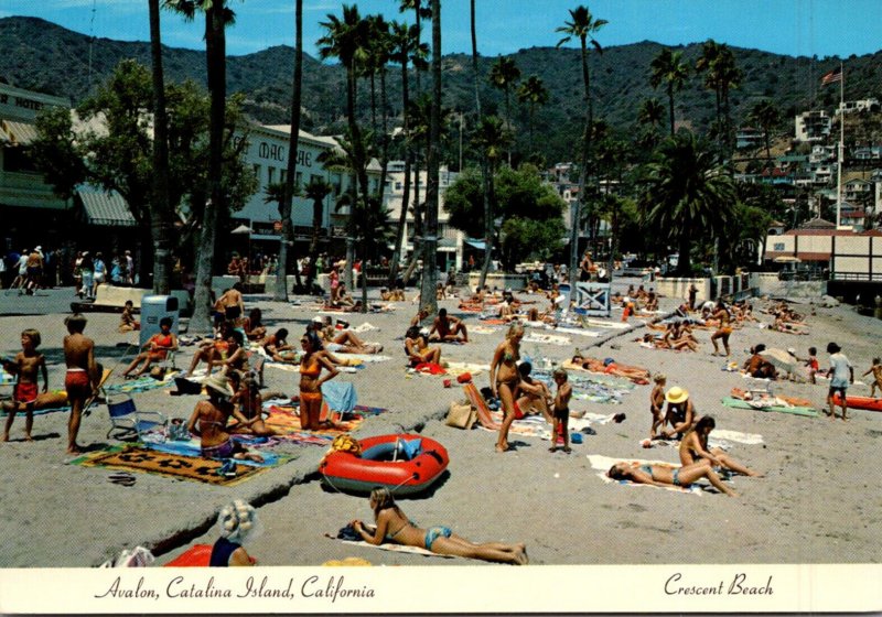 Caifornia Catalina Island Avalon Scene On Crescent Beach