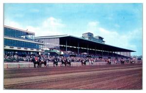 Grandstand and Home Stretch, Suffolk Downs, East Boston, MA Postcard