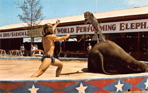 Ringling Brothers Varnum & Bailey Circus Post Cards Trained Leopard with Elep...