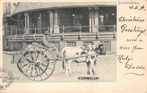 BULL CART BLACK AMERICANA SAVANNAH GEORGIA TO ISLE OF MAN UK POSTCARD 1905