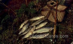 Tucumcari, New Mexico, USA La Cita Fine Mexican Food Fishing Unused a lot o...