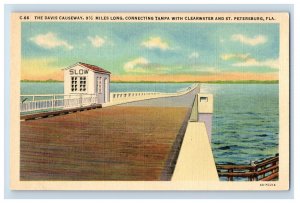 Vintage David Causeway St Petersburg Flordia Postcard P191E