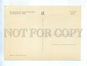 238943 Kyrgyzstan Alpine meadows HORSEMAN old postcard