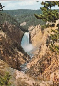 Yellowstone National Park The Lower Falls From Moran Point