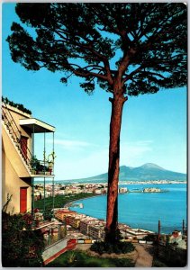 Napoli Panorama View Tree Resort Overlooking Mountain Naples Italy Postcard