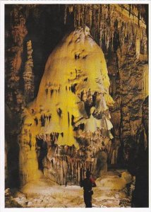 New Mexico Carlsbad Caverns Christmas Tree