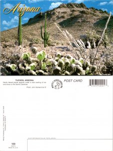 Tucson, Arizona (10942)