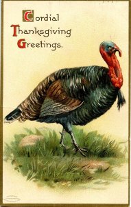 Greeting - Thanksgiving 