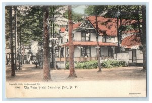 c1905 The Pines Hotel Sacandaga Park New York NY Rotograph Antique Postcard