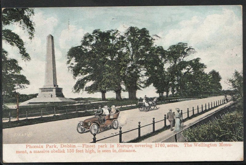 Ireland Postcard - Phoenix Park, Dublin - Finest Park in Europe   515