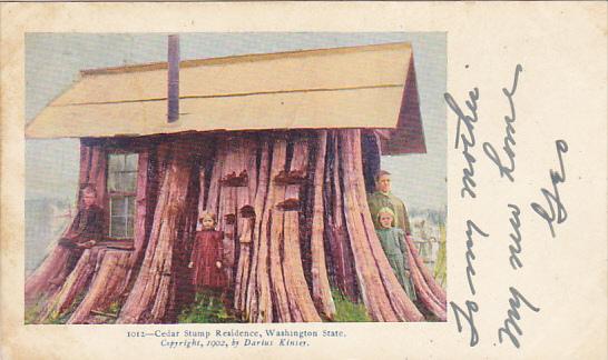 Cedar Stump Residence Washington 1903
