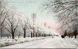 Halifax Nova Scotia Winter Street Scene Snow Trees NS c1911 Postcard H20