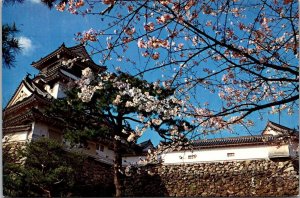 Japan View Of Kochi Castle