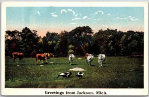 Greetings From Jackson Michigan MI Cow Pasture Animal Farm Postcard