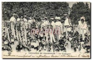 Old Postcard Folklore Wine Vineyard Harvest Champagne pickers TOP