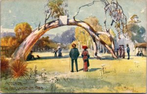 The Proclamation Tree, Tucks 7294 Adelaide Vintage Postcard V63