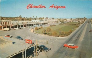 Chandler Arizona Automobiles Street Scene Petley Cattle Postcard 21-12382