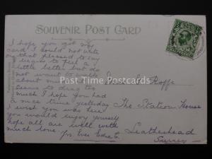 Bedfordshire SANDY Pine Wood Old Cambridge Rd c1907 Postcard by Valentine 57986