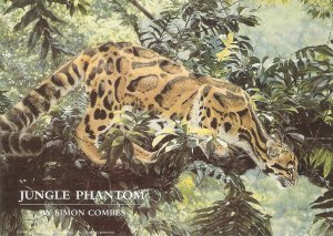 Animal. Jungle Phantom, by Simon combes i Nice modern American postcard