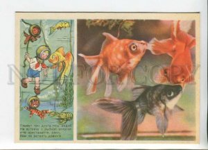 448987 USSR 1955 Kochanov aquarium fish boy diver cancer cat dog Izogiz